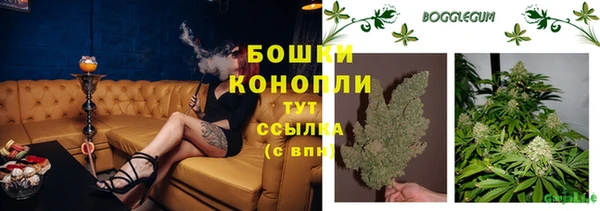 соль ск Струнино